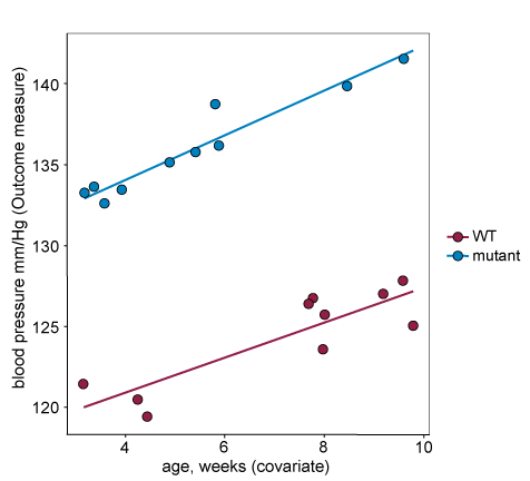 A graph plotting the covariate of age in weeks on the x-axis and the outcome measure of blood pressure on the y-axis. Different coloured dots represent two different strains, wildtype and mutant. Both wildtype and mutant animals have similar age ranges, and the lines of best fit are parallel and there is a slope (e.g. the lines are not horizontal).